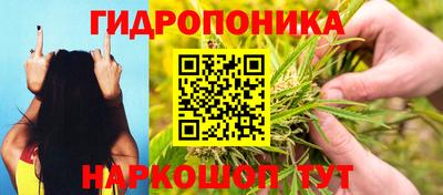 мдма Новозыбков